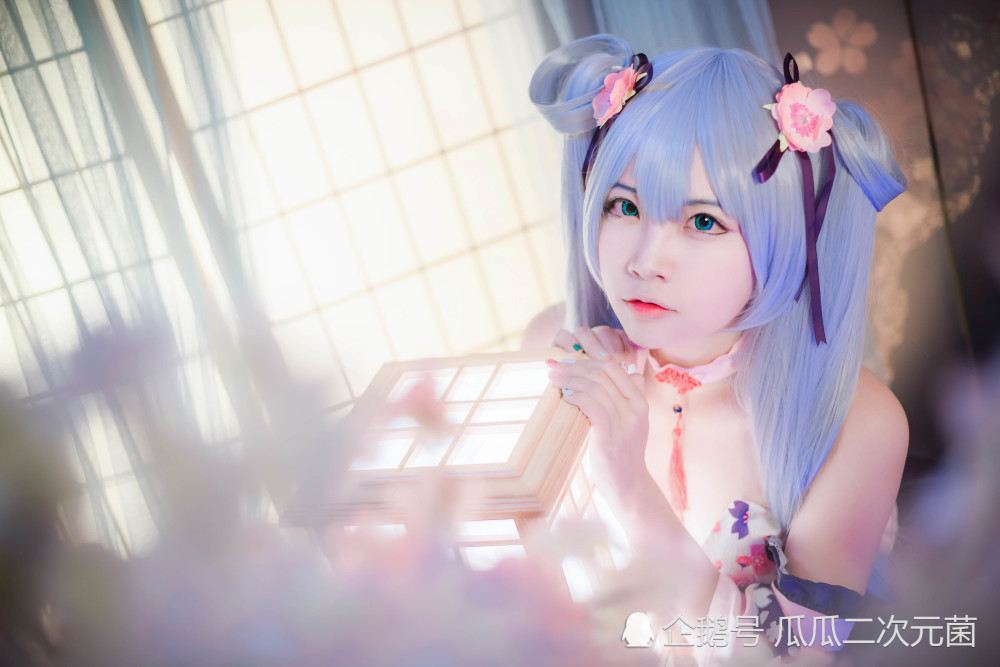 cosplay欣赏丨碧蓝航线加贺丨cos正片
