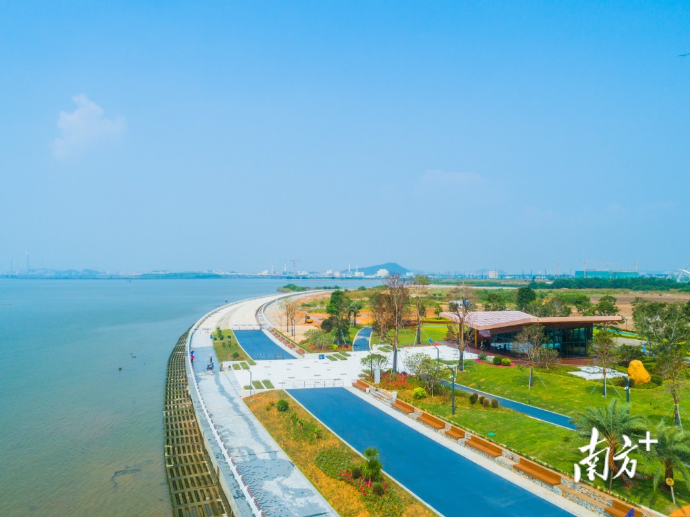 南方观察|滨海湾四年嬗变之路:昔日滩涂荒地,今朝开放先锋