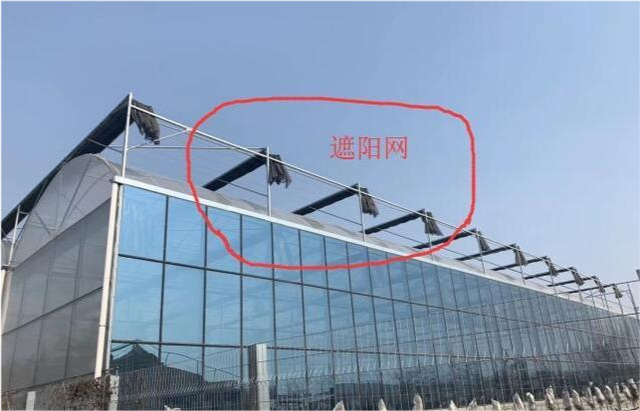 蔬菜大棚如何正确覆盖遮阳网