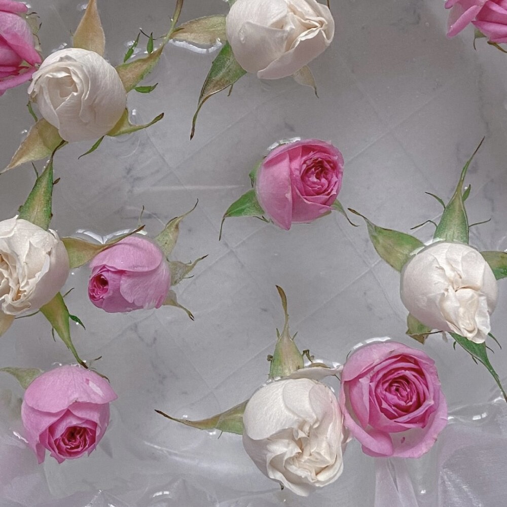 "浪漫背景:上帝创造了玫瑰,世间有了浪漫主义者"