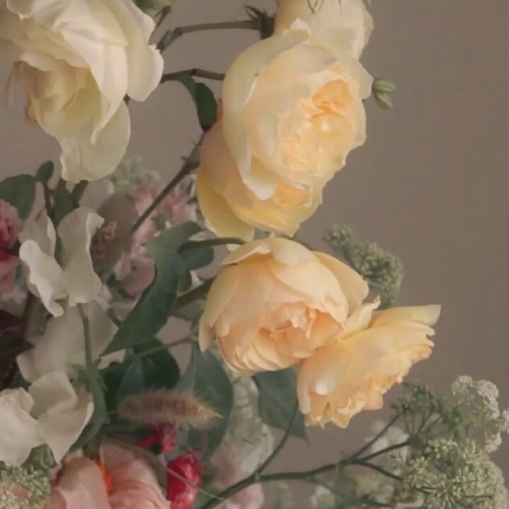 "浪漫背景:上帝创造了玫瑰,世间有了浪漫主义者"