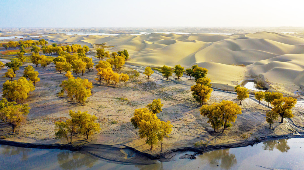 尉犁罗布淖尔国家湿地公园自驾游开通