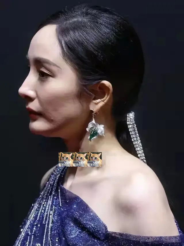 红毯活动上明星高清生图不用看文字了图片过于惹眼