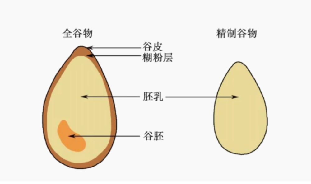 居家瘦:粗腰变细,要吃粗粮?