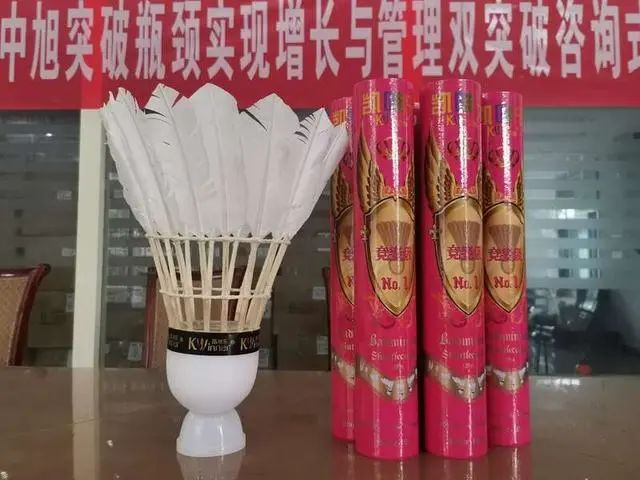 鹅绒被排行榜_加拿大鹅虚假宣传被罚,专家:七成羽绒服所用鸭绒仅为中游水平