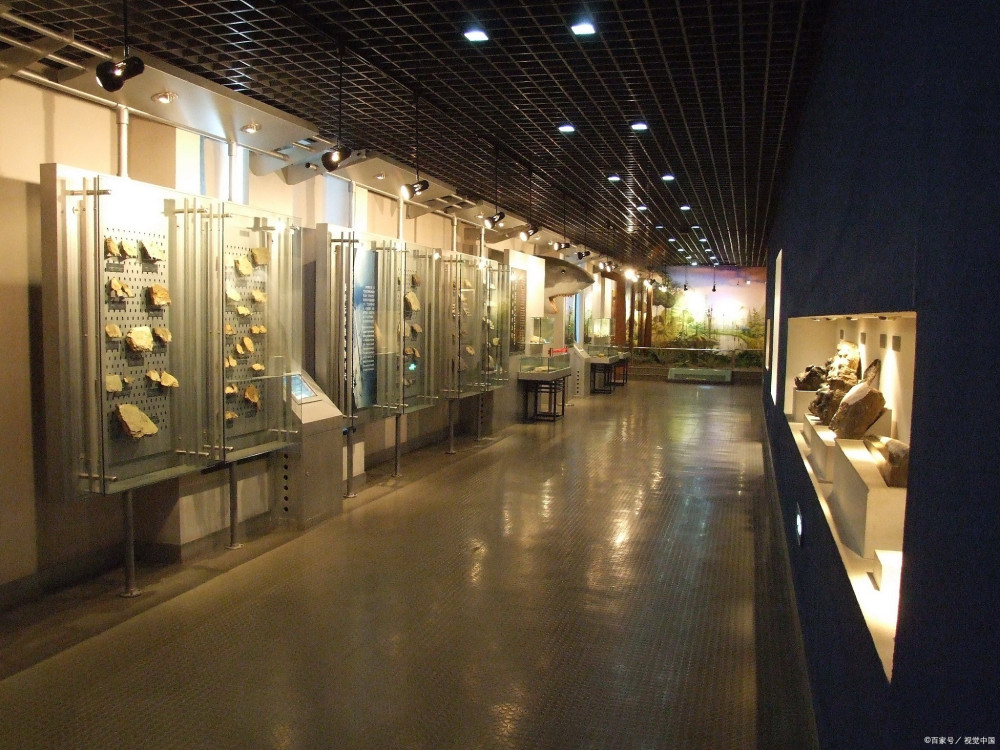 冷门行业排行榜_大学十大冷门专业排名出炉(且待遇高)