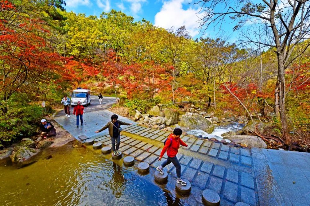 本溪大冰沟迎来最美枫景
