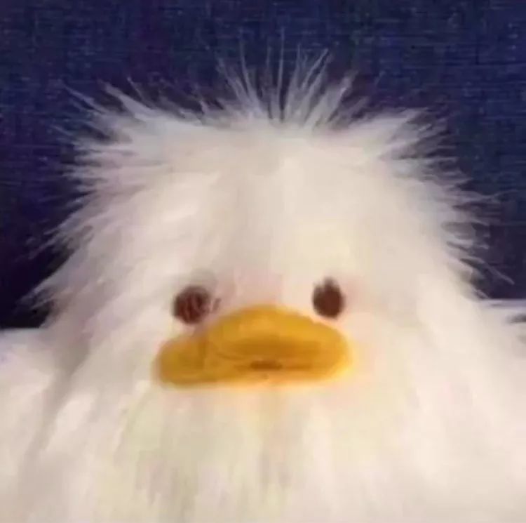 沙雕qq好友申请文案