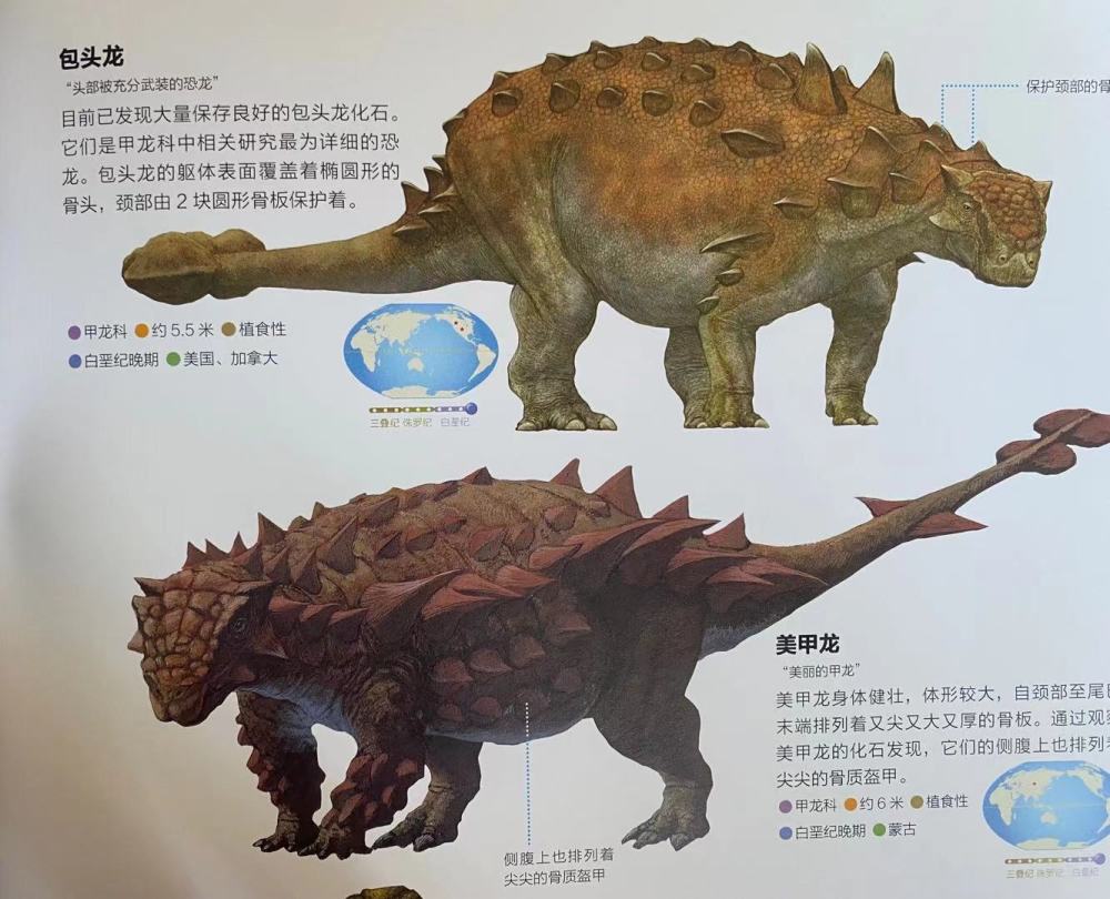 书里有最全的恐龙知识,既有趣又专业,小小恐龙迷的家长快看过来