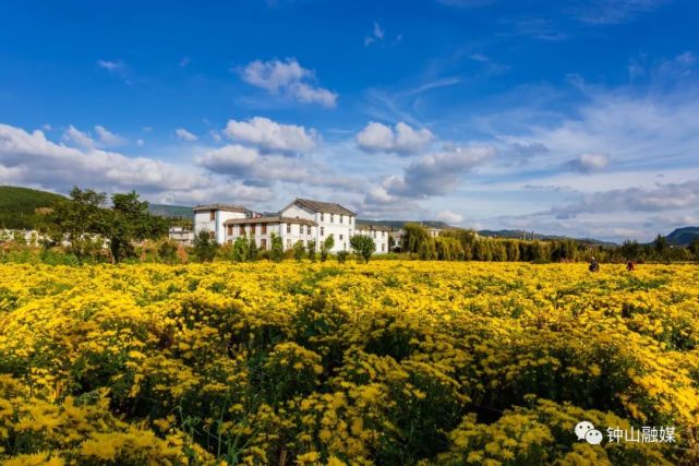 观赏地点:钟山区大湾镇白族新村旁(高速路收费站出口左转两公里左右)