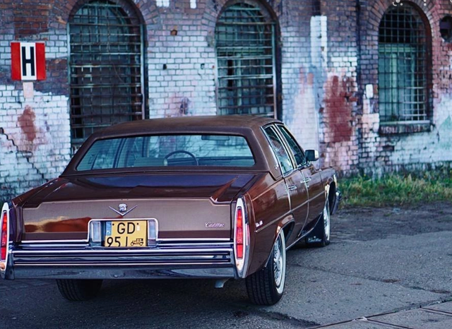 汽车名字越来越生猛 撸猫逗狗开坦克都不算啥 坐过蚂蚁和海豚 全网搜