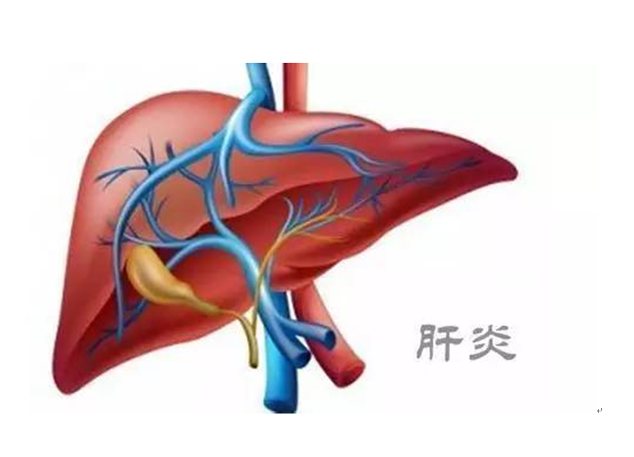 肝炎图片图库图片