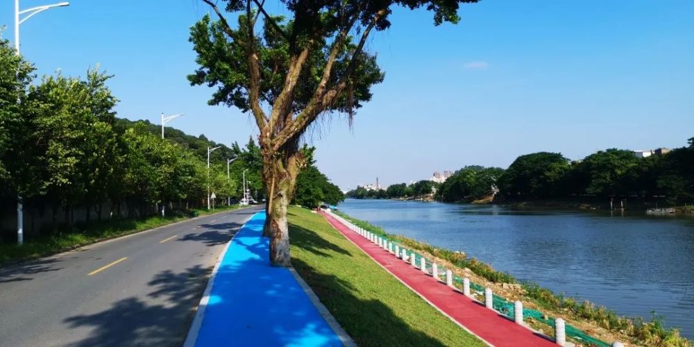 新的碧道又来啦这次在市桥