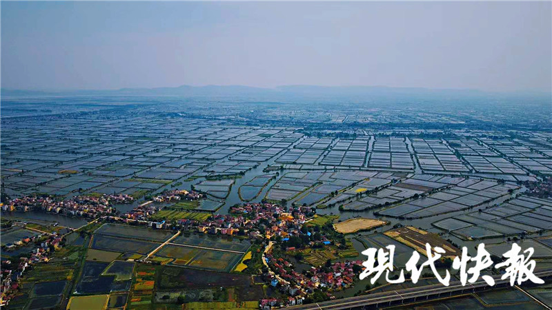 2021年南京"金洽会"结硕果,高淳西部圩区迎来发展