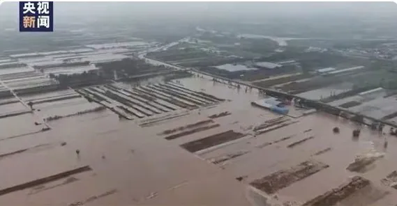 经典灾难片排行榜_灾难片排行榜前十名,十大好看的灾难片排名
