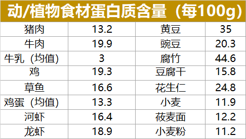 別再為吃不夠蛋白質發愁!科學揭示:素食者一天需要多少蛋白質?