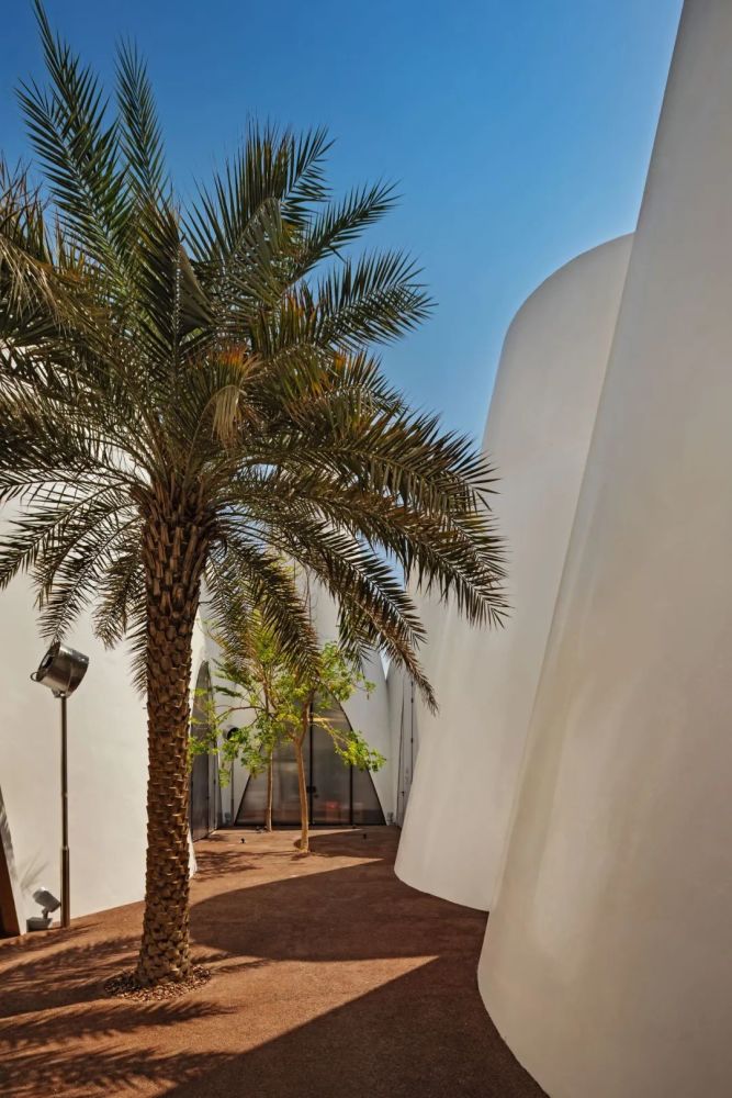 dejong & v8 architects新加坡馆woha architects意大利馆carlo ratti