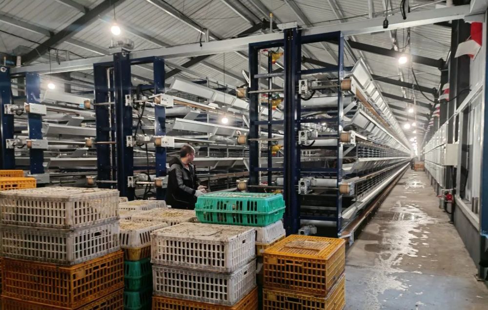 引领打造三穗鸭产业联盟i民投绿洲签订首家战略合作协议