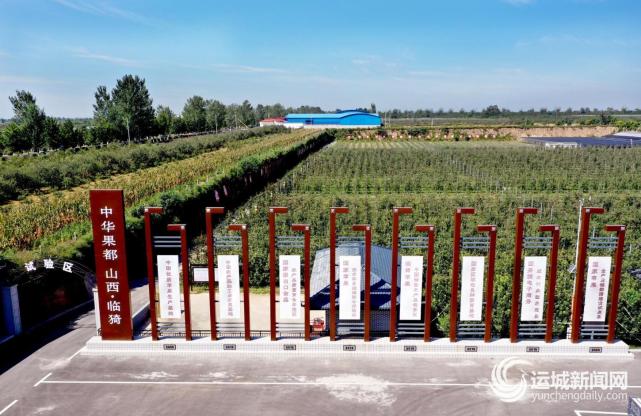 深化结构改革,"运城苹果"走向现代化