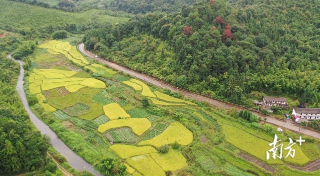 韶关始兴这条国道上榜广东省"十大最美普通国省干线公路"