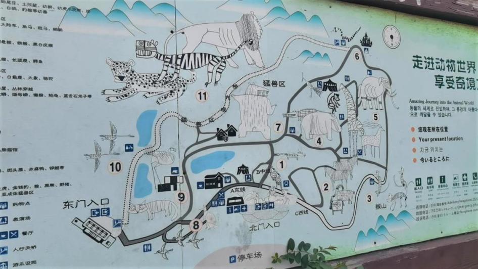 青岛森林野生动物世界园区不太野管理倒挺野