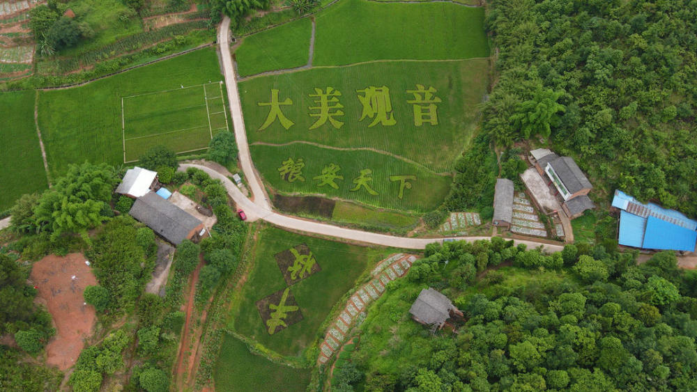 在四川南部 看观音镇的新型城镇化建设|四川这个中心镇