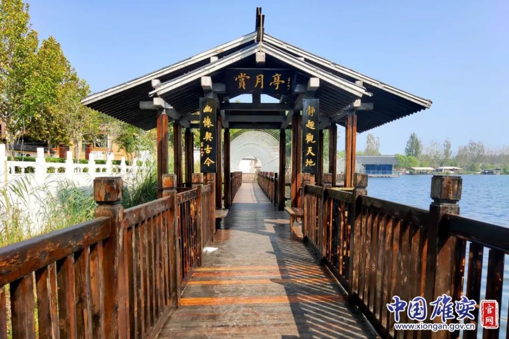 雄安这个村被认定为2021年度河北省美丽休闲乡村