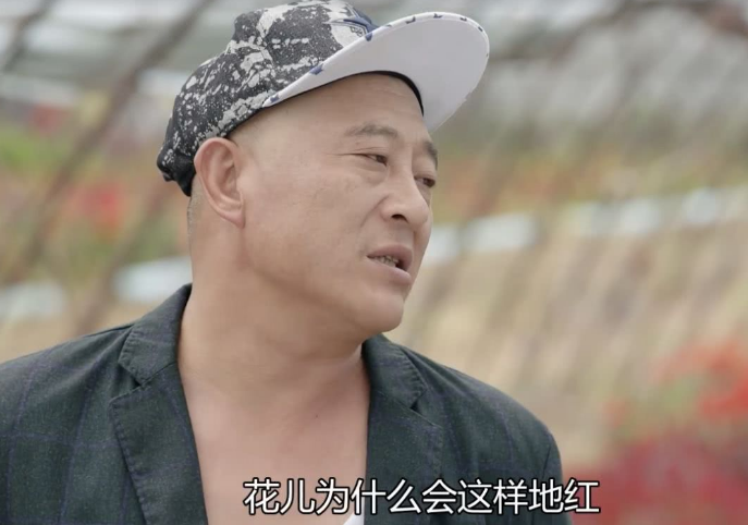 《乡村爱情16》 迅雷bt ts版 迅雷bt下载 【1080p已更新】 迅雷bt完整