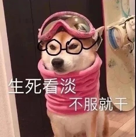 沙雕狗狗表情包