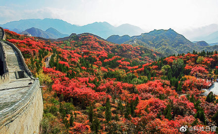 北京市16区20处最美秋景等您来常州沃尔得国际英语
