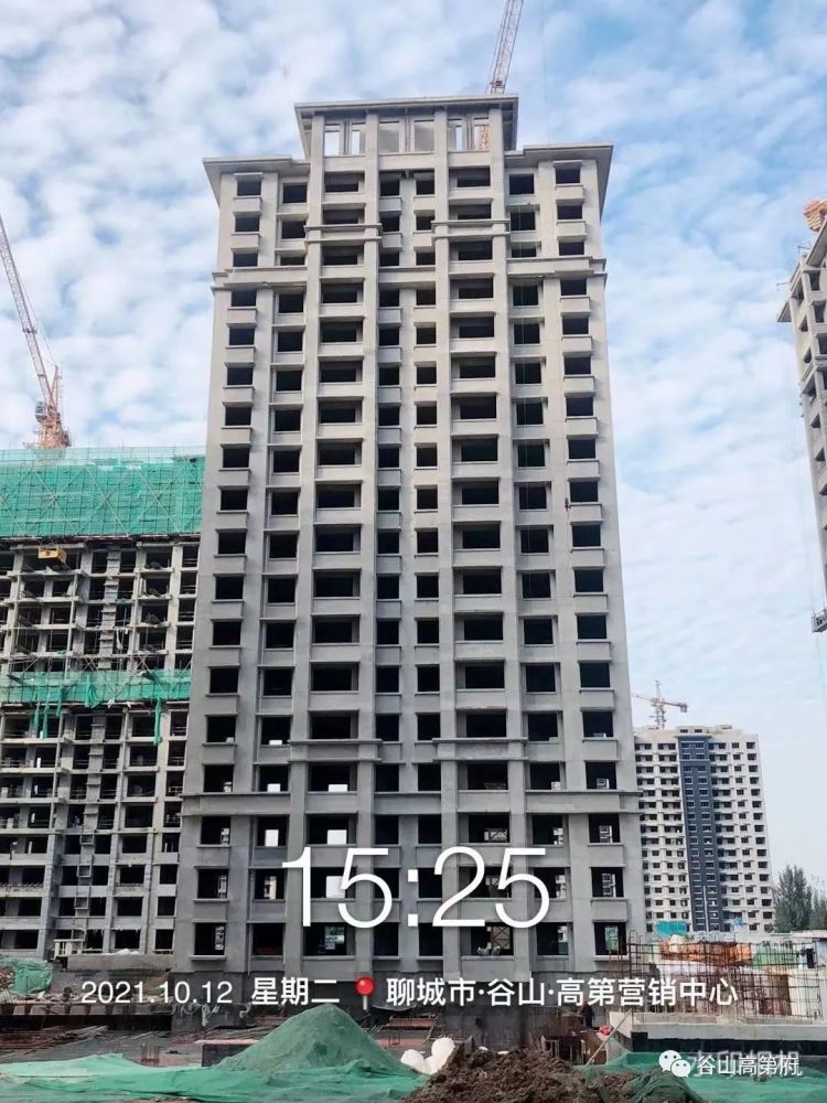 谷山·高第府十月工程进度播报