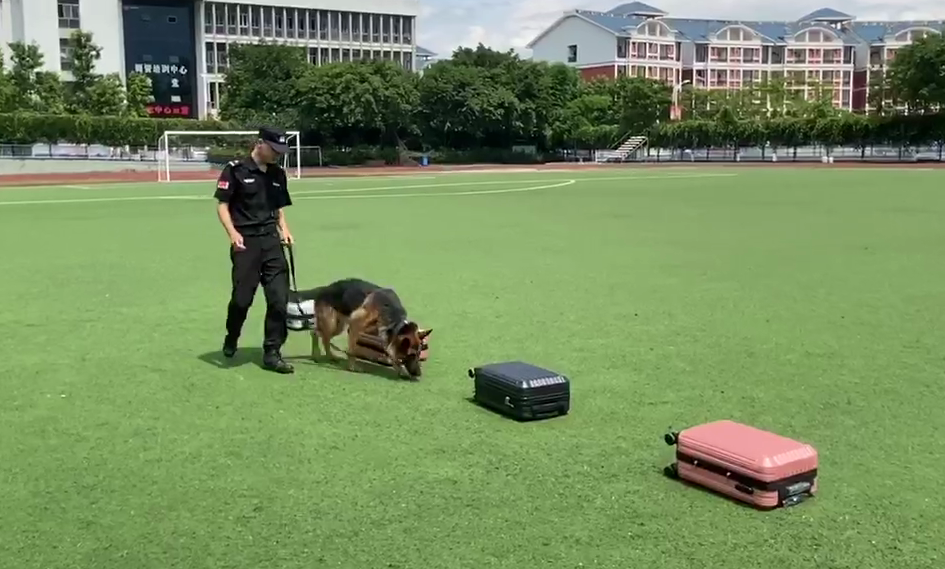 巫山刑警1個月警犬集訓結束,