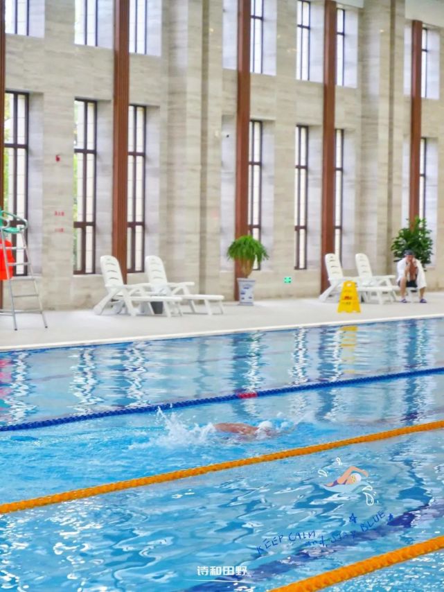 沉浸式体验濮阳这家国标级游泳馆