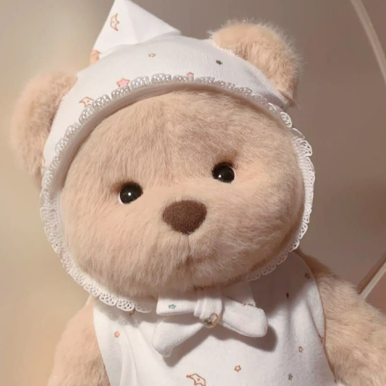 布偶头像|苦尽甘来 苦会尽甘也会来