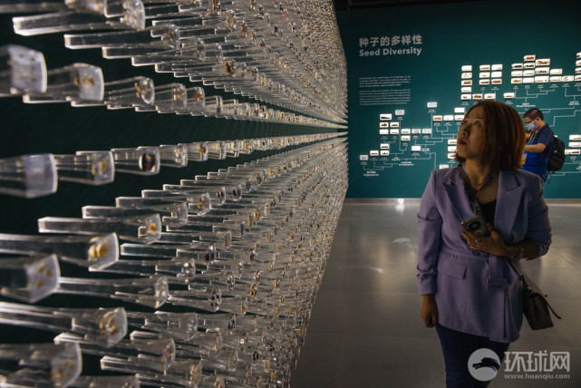 视频实地探访中国第一个种子博物馆