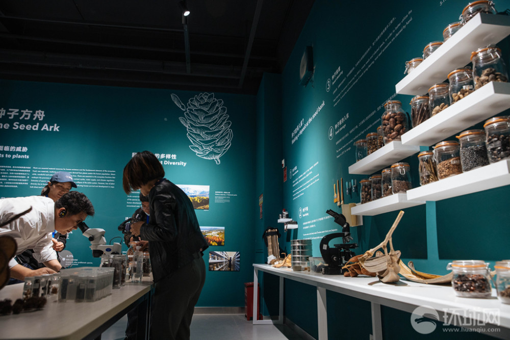 种子也可以色彩斑斓探访中国第一个种子博物馆
