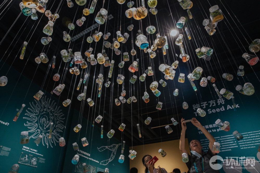 种子也可以色彩斑斓探访中国第一个种子博物馆