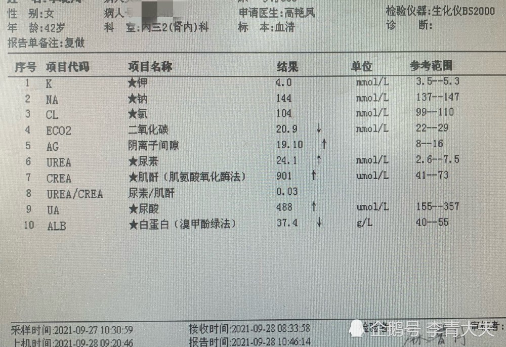 尿毒症化验单图片