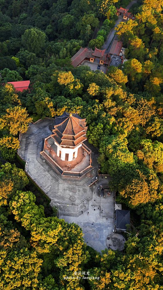 天马山  图|郑献兴天马山  图|yoyo登高山 图|蒋文东大锦山公园  图