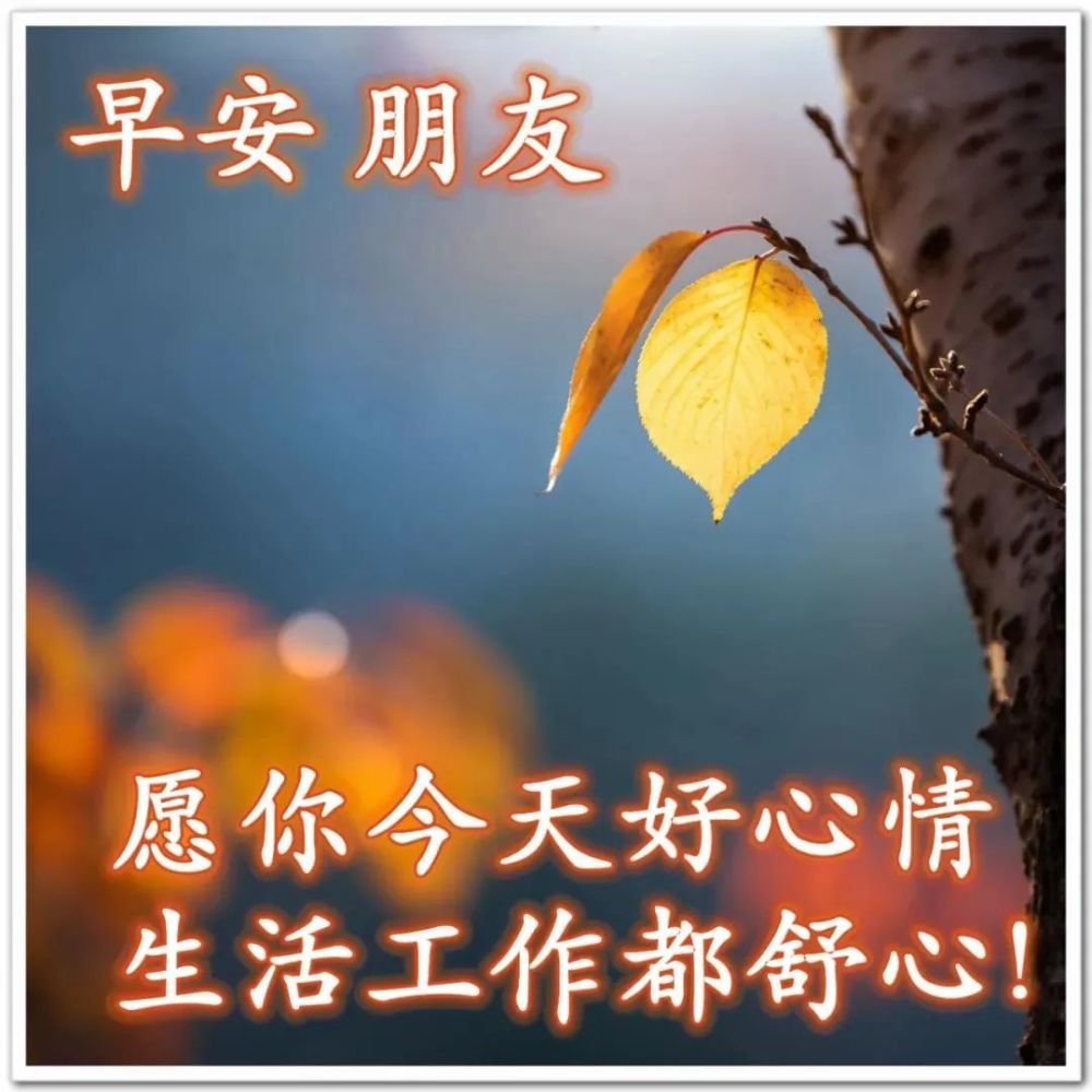 2021年11月15日 早上好问候祝福动态表情图片 最新早安问候语动态图片