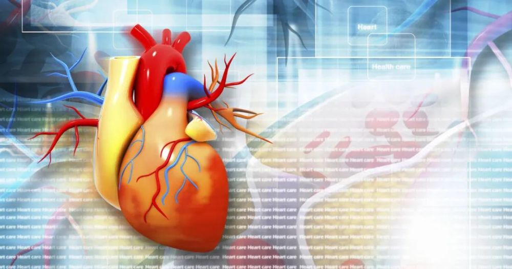 研究发现,房颤患者多见于高龄,男性,有遗传史,患有高血压,糖尿病,心力