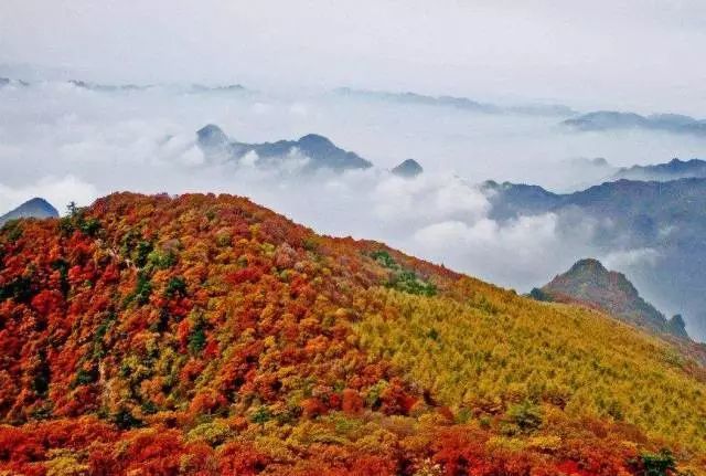 山西大片来袭,随手一拍就是秋天经典