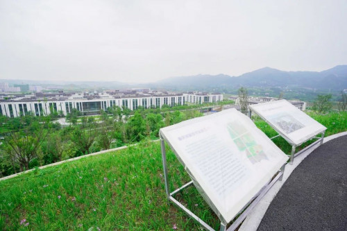 下班了就來走一走渝北石坪體育公園一期10月底開放