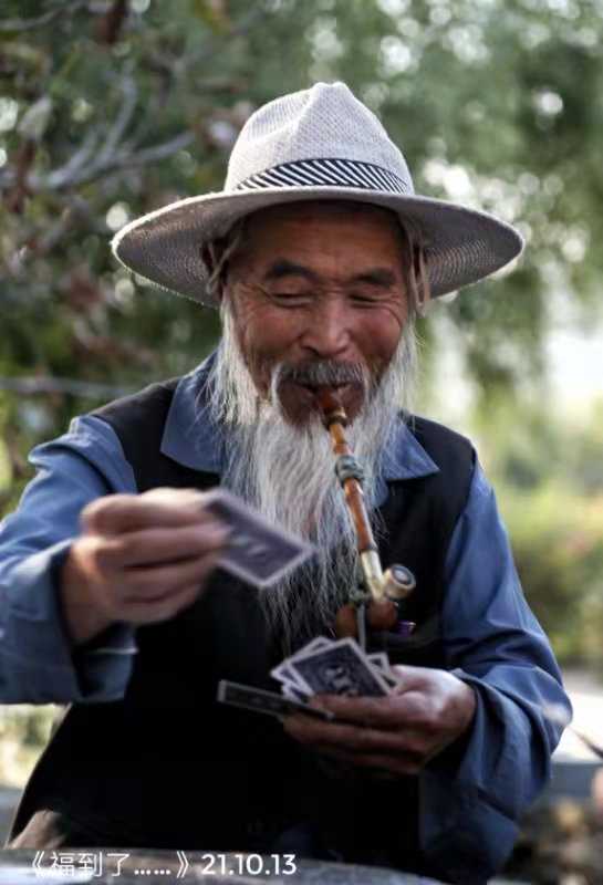 青未了重阳节那白须飘逸的老人