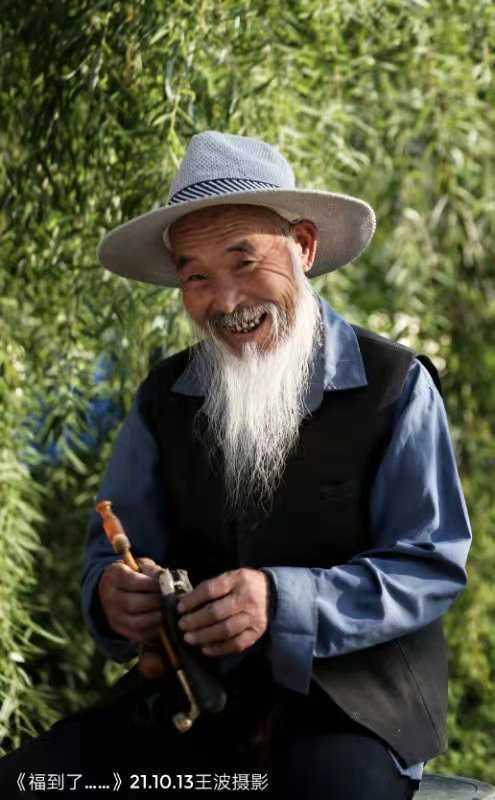 青未了/重阳节,那白须飘逸的老人