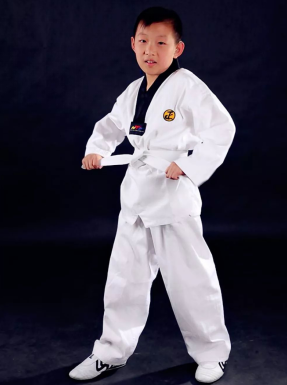 内蒙古自治区选手赵振宏在全国第十一届残运会暨第八届特奥会跆拳道