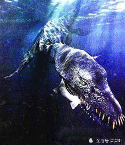 有人猜测天池水怪其实就是神话传说中的龙