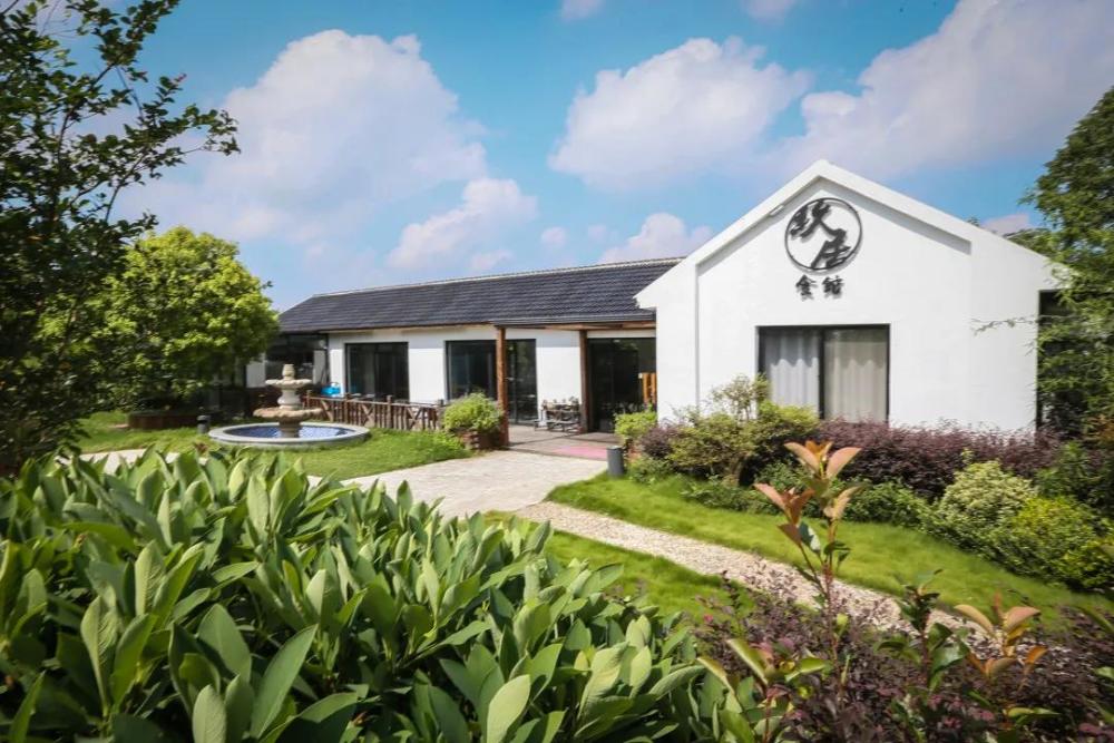 崇明生态岛建设20年民宿为啥如此火爆