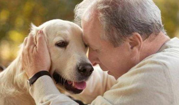 老人与狗1080p高清哪里能看1080p蓝光版免费观看免费加长版