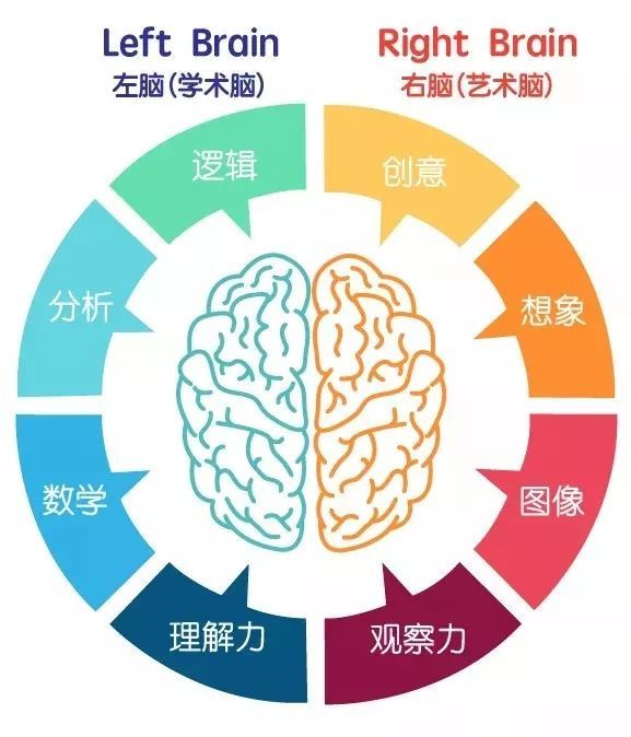 大脑逻辑训练:益智绳子书,一根绳子玩出学术脑和艺术脑
